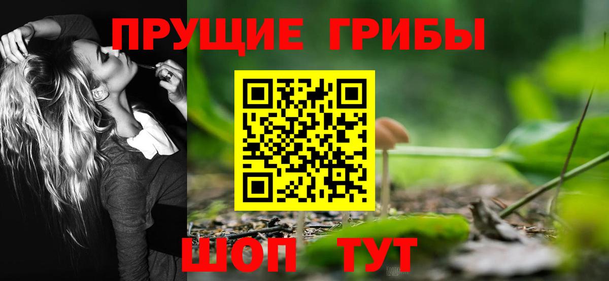 Псилоцибиновые грибы MAGIC MUSHROOMS Чебоксары