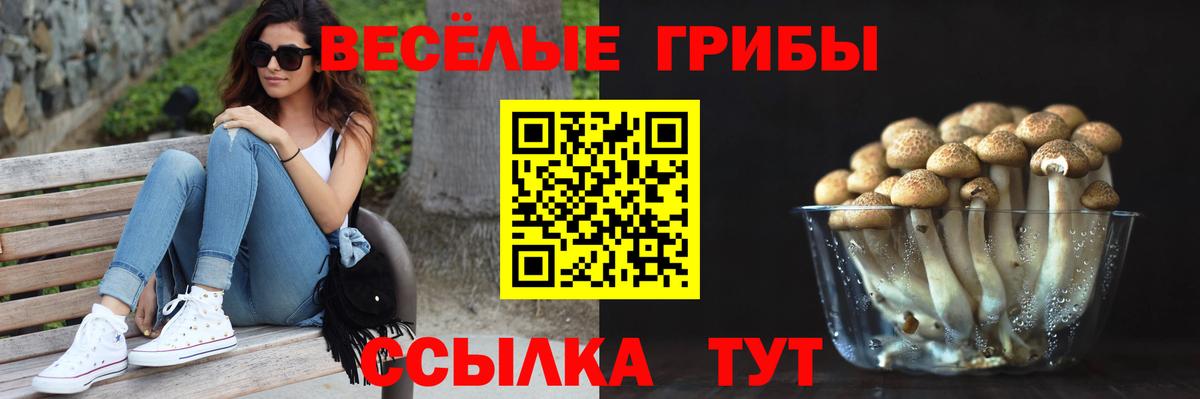 Псилоцибиновые грибы GOLDEN TEACHER  где купить наркоту  Чебоксары  Вход с VPN 